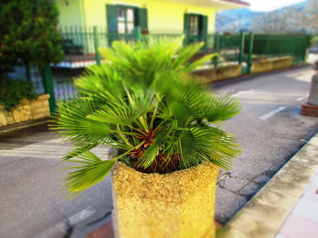 Hotel Rosso Di Sera Pietramelara